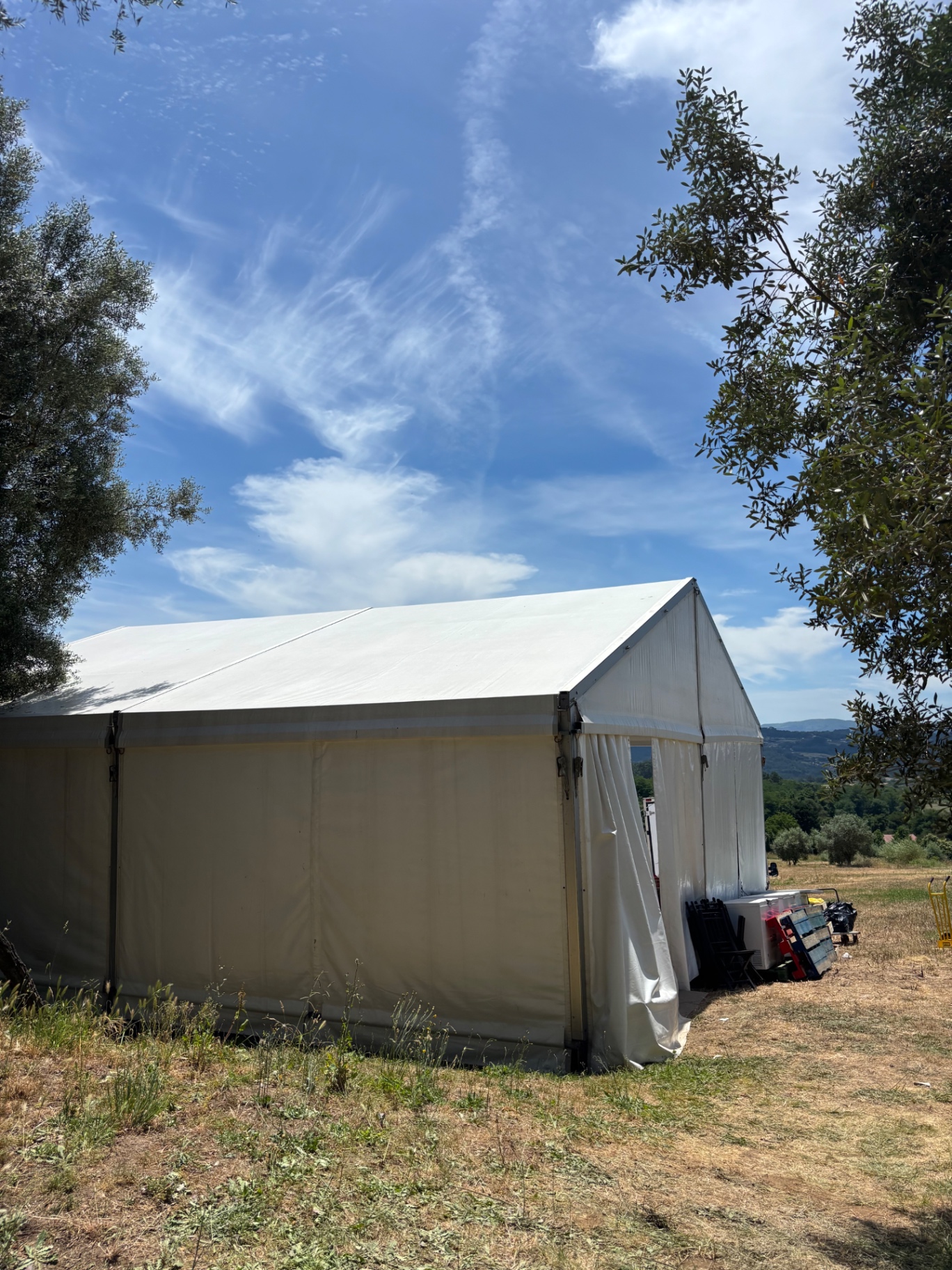 Carpa modular blanca instalada en campo abierto con cielo azul y olivos alrededor